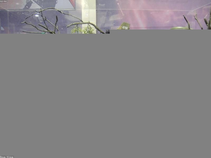 RetroGaming_Fan Avatar