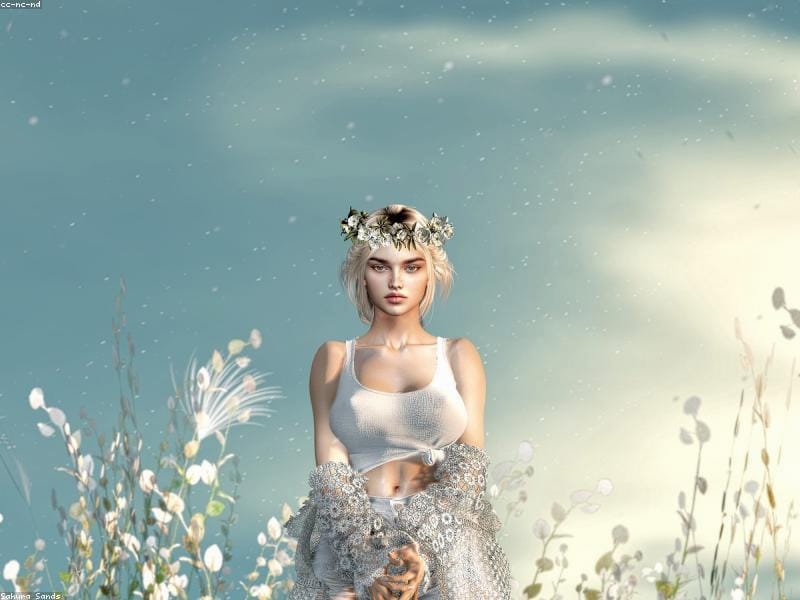 TechWizard_MX Avatar