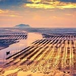 Manuel Saavedra Avatar